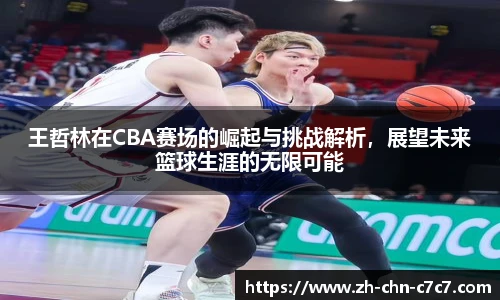 王哲林在CBA赛场的崛起与挑战解析，展望未来篮球生涯的无限可能